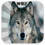 Wolf Sounds icon