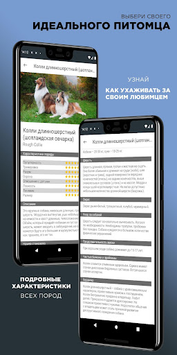Pets – Описание пород собак Screen 2