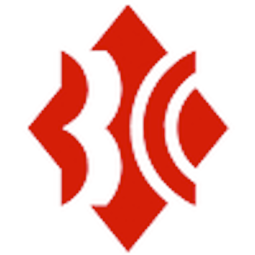 Berlin Capital Club logo