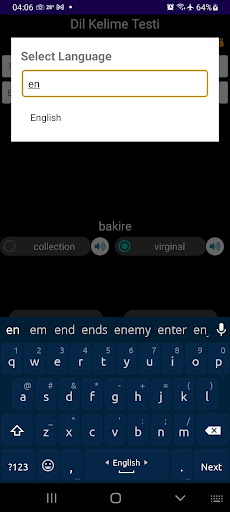 Languin Screen 3