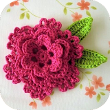 Crochet Flower Ideas icon
