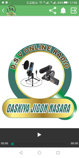 DSV Radio International