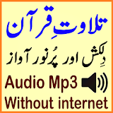 Without Internet Audio Quran icon