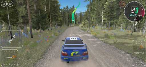 Rallye CarX