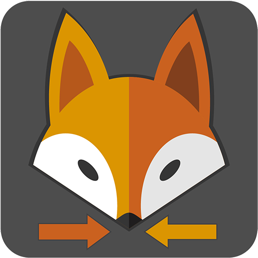 Установить fox