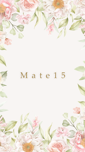 Android application Mate15 screenshort