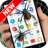 Spider On Screen - Funny Prank icon