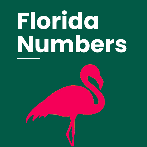 Florida: Numbers & Results  Icon