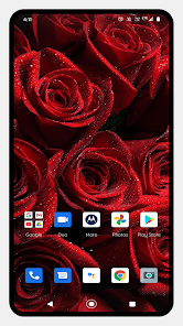 Captura de Pantalla 5 Red Rose HD Wallpapers android