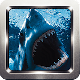 Shark Wallpapers icon