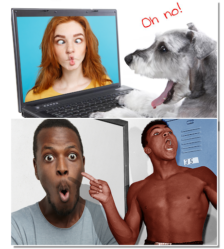 Download Funny Photo Frames Funny Photo Maker Free for Android - Funny  Photo Frames Funny Photo Maker APK Download 