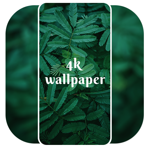 4K Wallpaper - Live Wallpapers logo