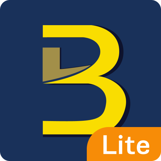 BIG POS Lite logo