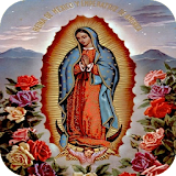 Virgen de Guadalupe  Imagenes icon