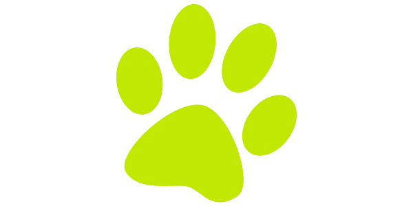 Budget pet cheap products specials