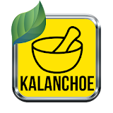 Kalanchoe La Medicina Natural icon