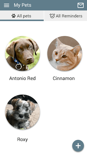 Riverstone Animal Hosp Screen 3