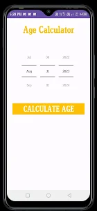Learning Age Calculator