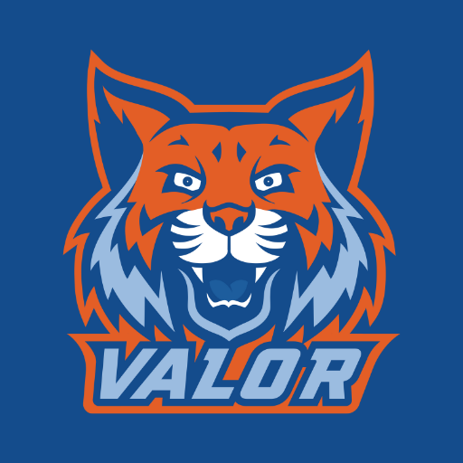 Valor Collegiate Academies logo