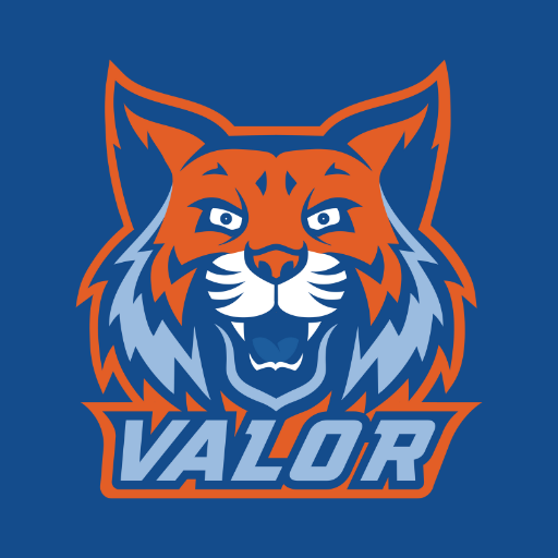 Valor Collegiate Academies