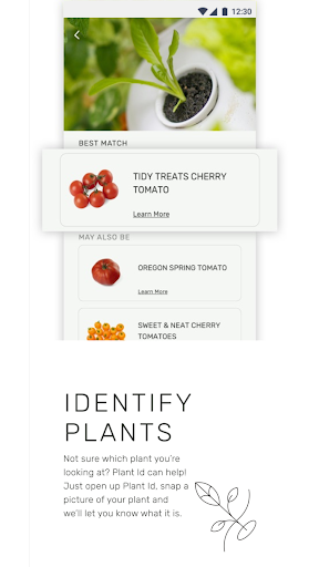 Lettuce Grow Screen 2