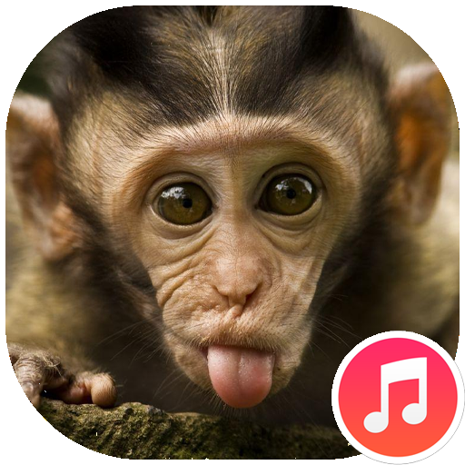 Monkey Sounds Download on Windows