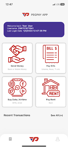 PegPay Screen 3