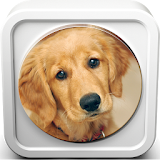 Dog Sound Collection icon