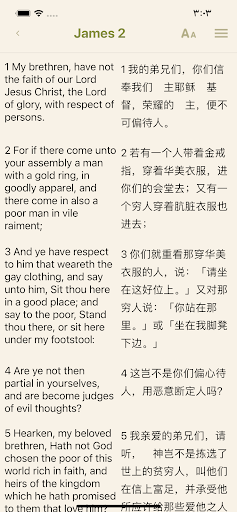 Coptic Prayers Screen 2