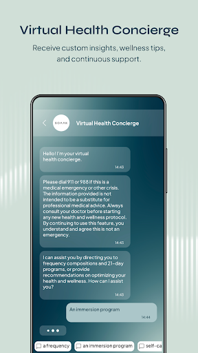 Screenshot of Soaak