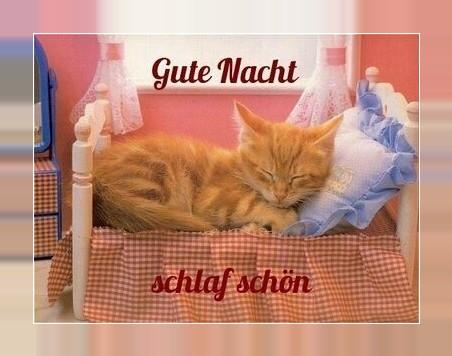 Gute Nacht Bilder für Whatsapp Screen 3