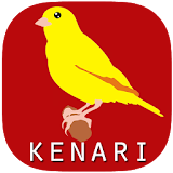 Chirping of canary birds icon
