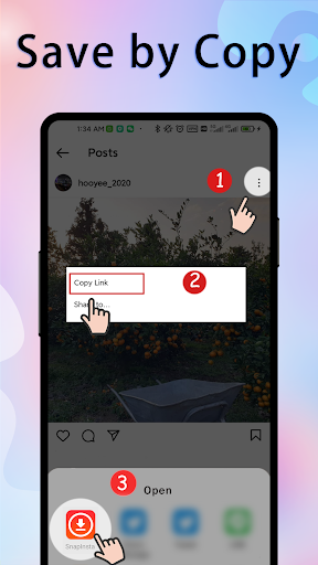 Snapinsta: Video Downloader Screen 2