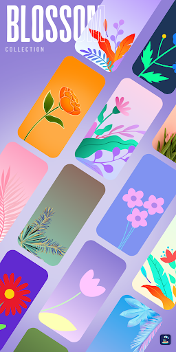 Screenshot of WallStory