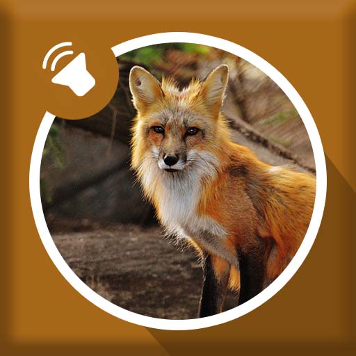Fox Sounds - Apps on Google Play