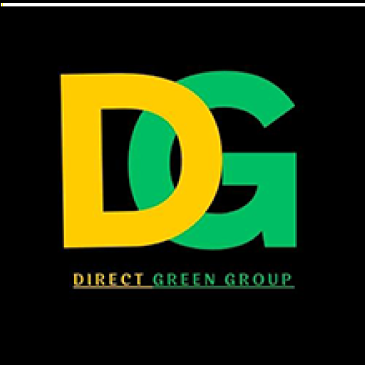 DG TAXIS logo
