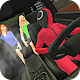 Squid Games Real Car Transport Download on Windows