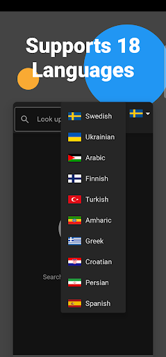 Android application Lexin - Swedish dictionary screenshort