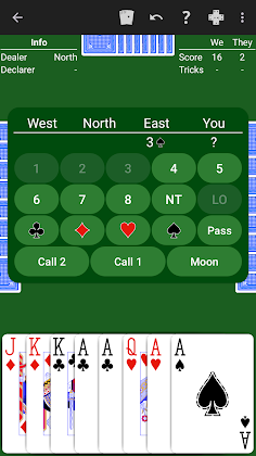 Bid Euchre - Expert AI - Screenshot 3