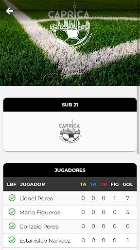 Caprica Competencias Screen 2