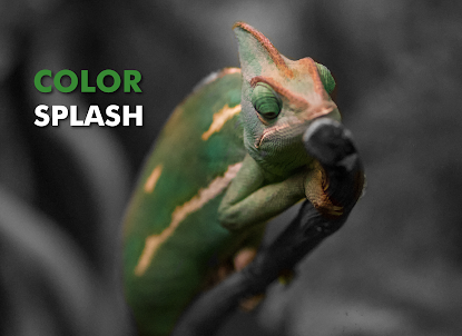 Color Splash - Photo Editor
