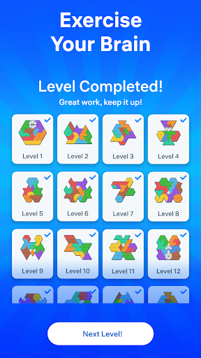 Triangle Tangram: Block Puzzle screenshot 4