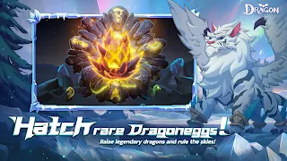 Dragon Arise - Screenshot 2