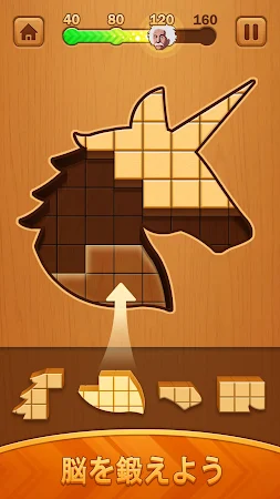 Game screenshot Wooden Block Jigsaw Puzzle apk download