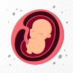 Baby Tracker Pregnancy App