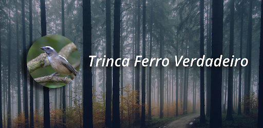 Android application Trinca Ferro Cantando No Mato screenshort