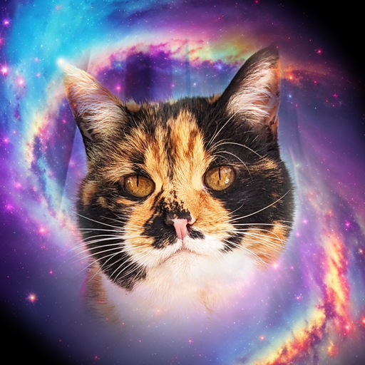 Nebula Tarot Cat Download on Windows
