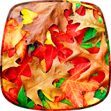 Colorful Leaves Wallpaper icon