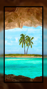 Palm Tree Wallpaper HD Beach