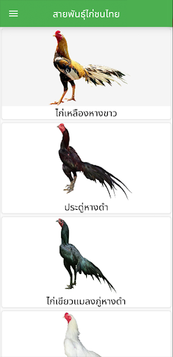 ตำราไก่ชน Screen 3